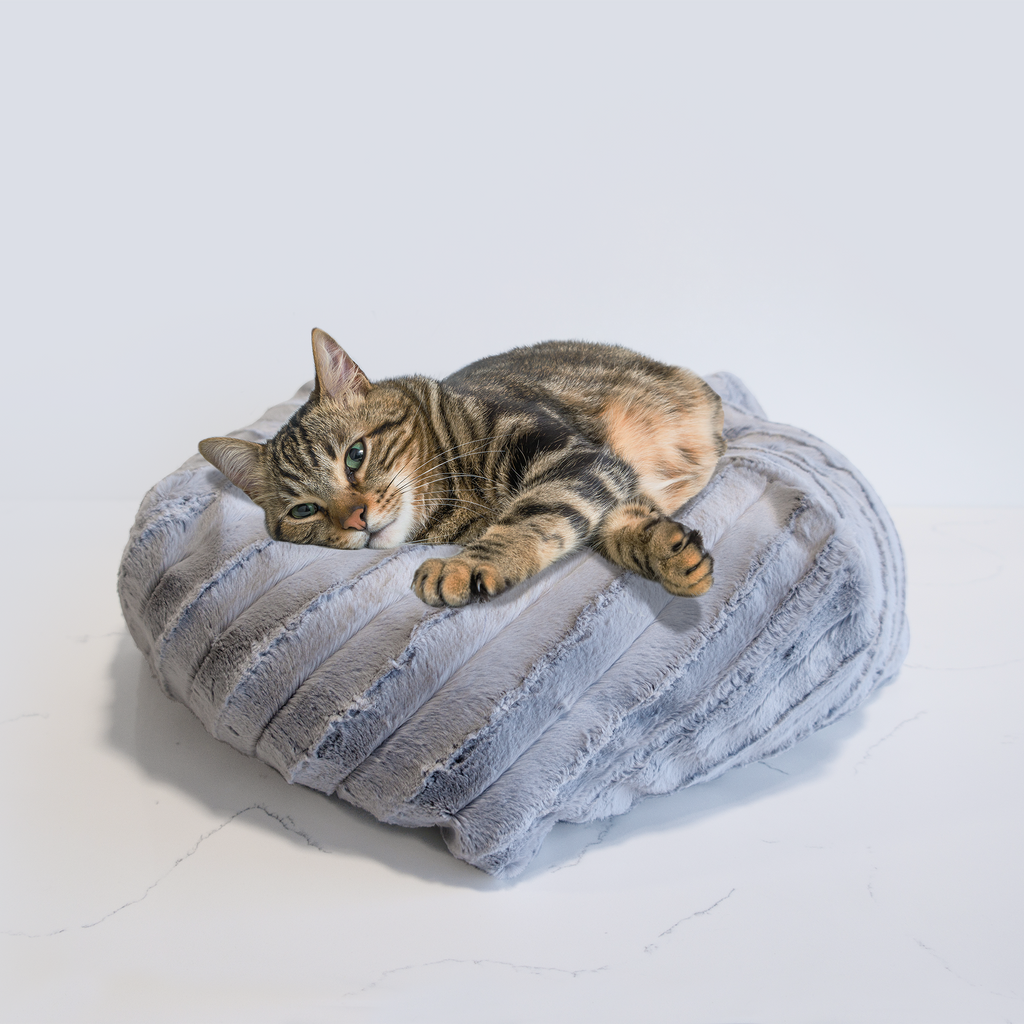 宁波新款爱心型猫垫宠物垫